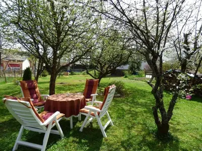 Ein Garten an der Unterkunft Apartment in Siesbach by Interhome