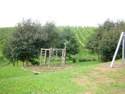 Ein Garten an der Unterkunft Holiday Home Altes Winzerhaus in Mesenich by Interhome