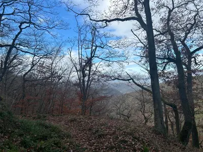 Naturlandschaft in der Nähe des Hotels