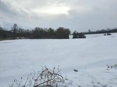 Ferienhaus check ferien dot world im Winter