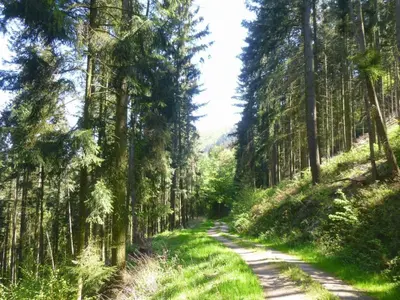 Naturlandschaft in der Nähe der Ferienwohnung