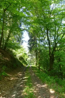 Naturlandschaft in der Nähe der Ferienwohnung