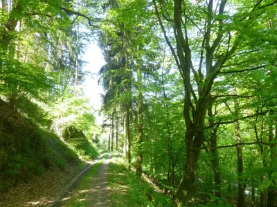Naturlandschaft in der Nähe der Ferienwohnung