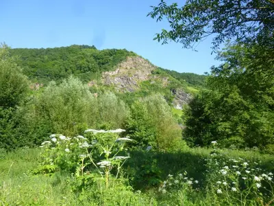 Naturlandschaft in der Nähe der Ferienwohnung