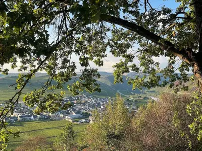 Naturlandschaft in der Nähe des Ferienhauses