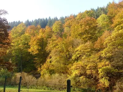 Naturlandschaft in der Nähe des Ferienhauses