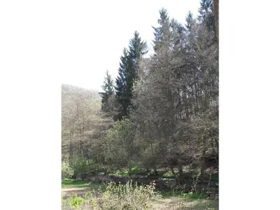 Naturlandschaft in der Nähe des Ferienhauses