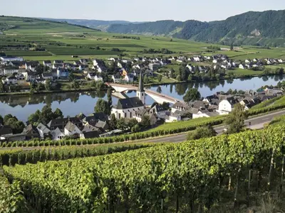 Naturlandschaft in der Nähe der Ferienwohnung