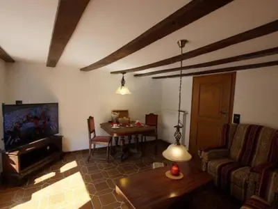 TV/Unterhaltungsangebot in der Unterkunft Apartment Altes Fährhaus anno 1 6 3 3 - Traumferienwohnung in exponierter Moselufer-Lage by Interhome