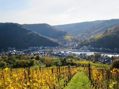 Naturlandschaft in der Nähe der Ferienwohnung