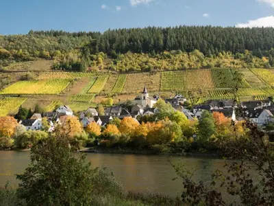 Naturlandschaft in der Nähe der Ferienwohnung