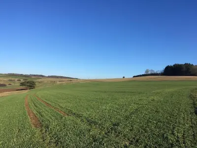 Naturlandschaft in der Nähe des Ferienhauses