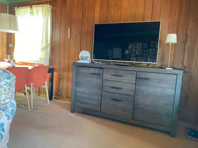 TV/Unterhaltungsangebot in der Unterkunft Gemütliches Ferienhaus