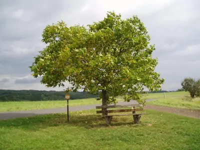 Naturlandschaft in der Nähe des Ferienhauses