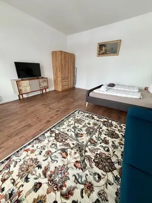 TV/Unterhaltungsangebot in der Unterkunft Stilvolle Wohnung mit Rheinblick