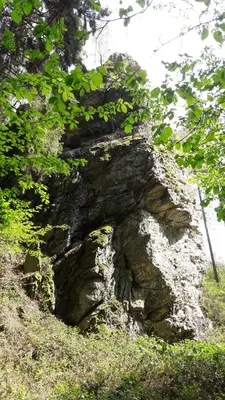 Naturlandschaft in der Nähe des Ferienhauses