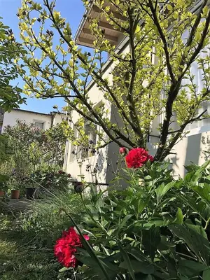 Ein Garten an der Unterkunft Stadtoase Koblenz