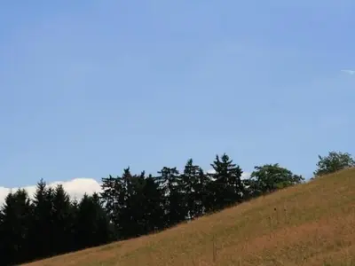 Naturlandschaft in der Nähe des Ferienhauses