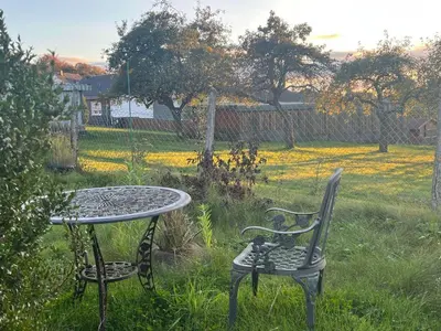 Ein Garten an der Unterkunft Haus InselZeit