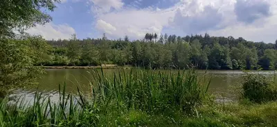 Naturlandschaft in der Nähe der Ferienwohnung