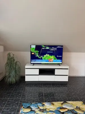 TV/Unterhaltungsangebot in der Unterkunft Viktoria`s Penthouse