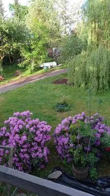 Ein Garten an der Unterkunft Doppelzimmer mit Gartenblick