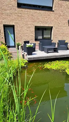 Ein Garten an der Unterkunft OREA Ferien-Appartment nähe Nürburging Rhein Ahr Eifel--- NEU NEW RENOVIERT