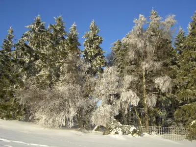 Villa Edelstein im Winter
