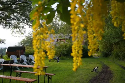 Ein Garten an der Unterkunft NATURRAUM - WELLNESSOASE am MITTELRHEINTAL