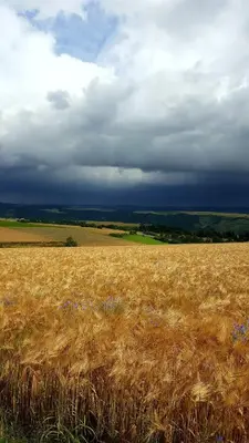 Naturlandschaft in der Nähe der Ferienwohnung