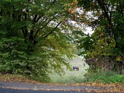 Naturlandschaft in der Nähe der Ferienwohnung