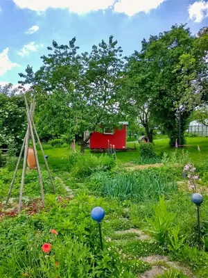 Ein Garten an der Unterkunft Tinyhouse Minimalus I - Outdoorküche und Nebeldusche