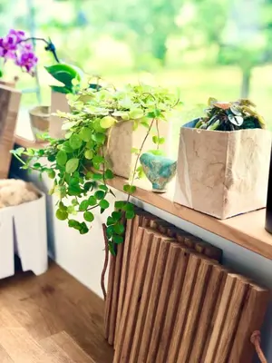 Ein Garten an der Unterkunft Tinyhouse Minimalus I - Outdoorküche und Nebeldusche