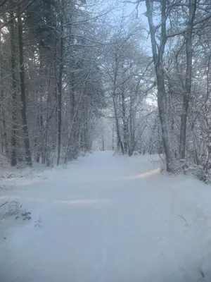 Blick ins Grüne im Winter