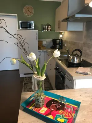 Küche/Küchenzeile in der Unterkunft Ferienwohnung Laurent