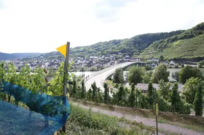 Naturlandschaft in der Nähe der Ferienwohnung
