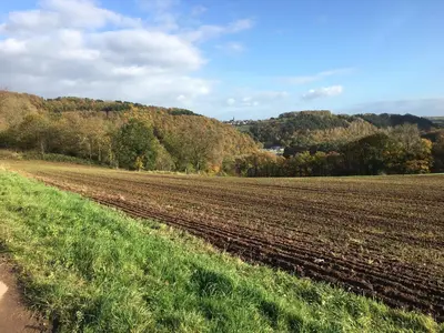 Naturlandschaft in der Nähe des Ferienhauses