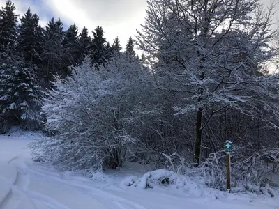 Ferienhaus Stausee Bitburg im Winter