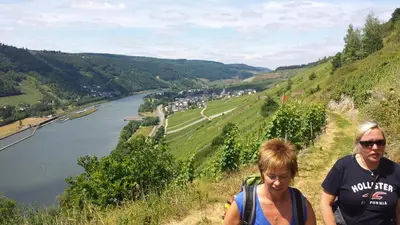 Naturlandschaft in der Nähe der Ferienwohnung