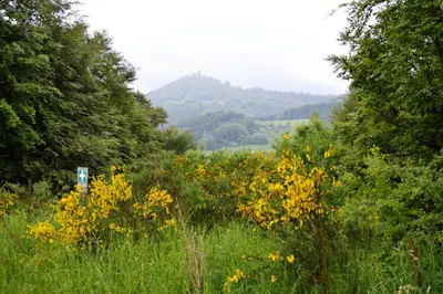 Naturlandschaft in der Nähe des Bed & Breakfasts