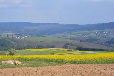 Naturlandschaft in der Nähe des Bed & Breakfasts