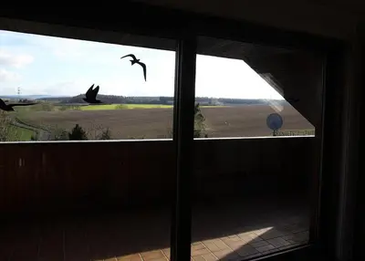 Naturlandschaft in der Nähe der Ferienwohnung