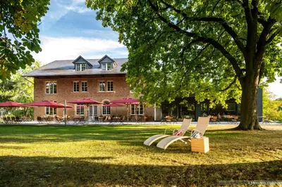 Ein Garten an der Unterkunft Menschels Vitalresort