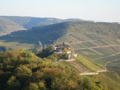 Naturlandschaft in der Nähe des Bed & Breakfasts