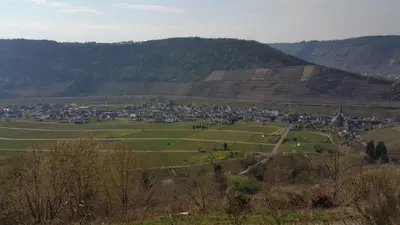 Naturlandschaft in der Nähe der Ferienwohnung