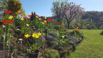 Ein Garten an der Unterkunft Ferienwohnung Sonneck