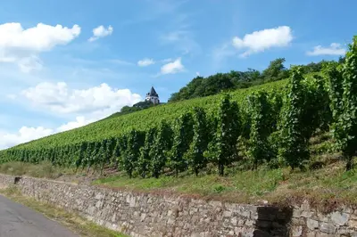 Naturlandschaft in der Nähe der Ferienwohnung