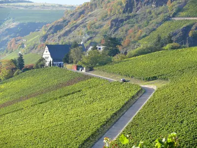 Naturlandschaft in der Nähe der Pension