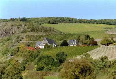 Naturlandschaft in der Nähe der Pension