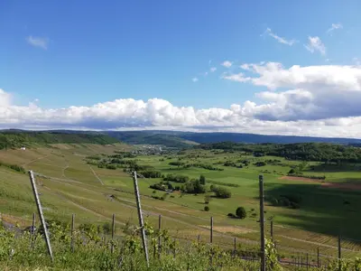 Naturlandschaft in der Nähe der Ferienwohnung